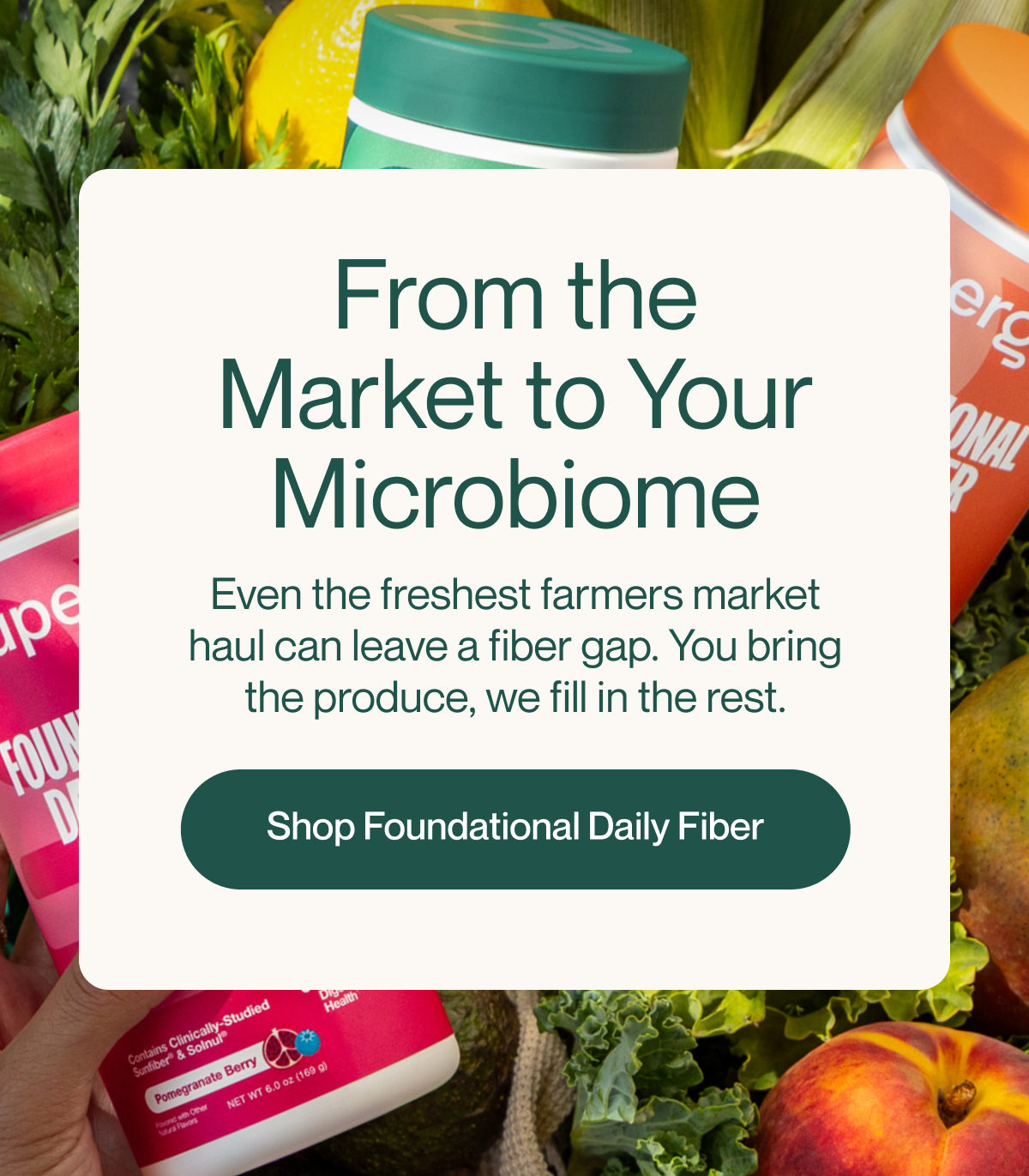 Shop Foundational Daily Fiber