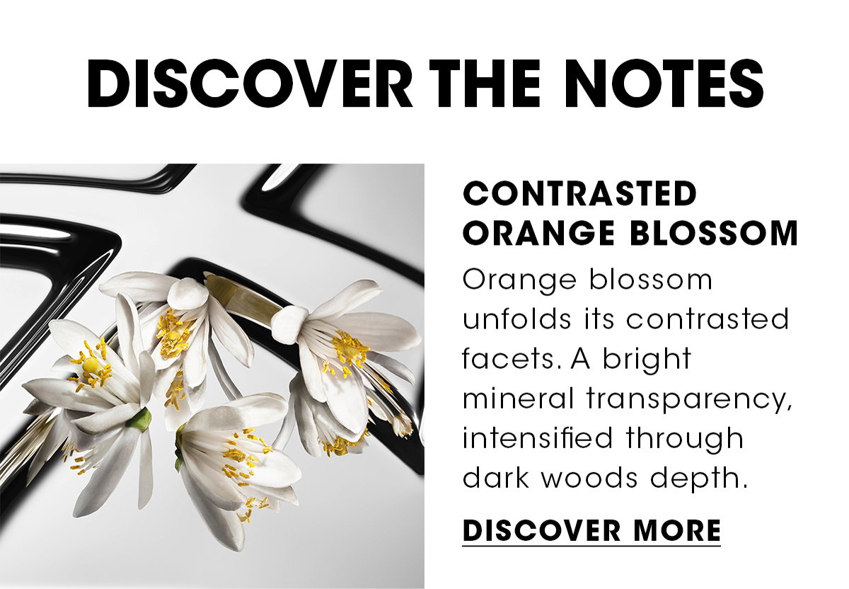 CONTRASTED ORANGE BLOSSOM