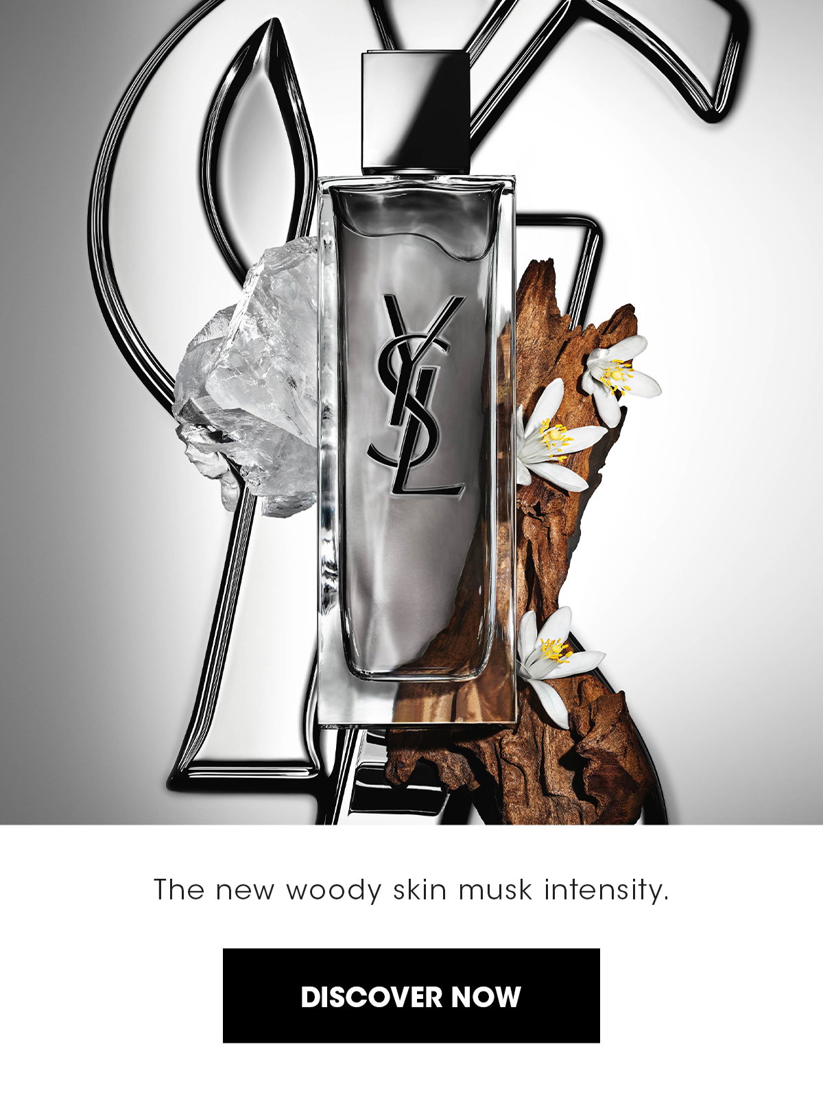 DISCOVER NOW