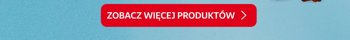 Zobacz więcej produktów