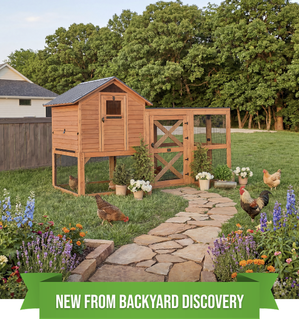 Rustic Roots Chicken Coop set in a garden — new from Backyard Discovery