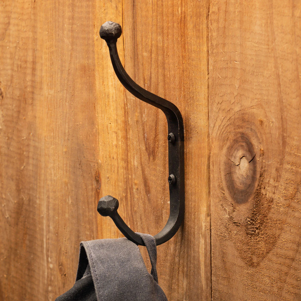 Image of Forged Iron Double Coat Hook
