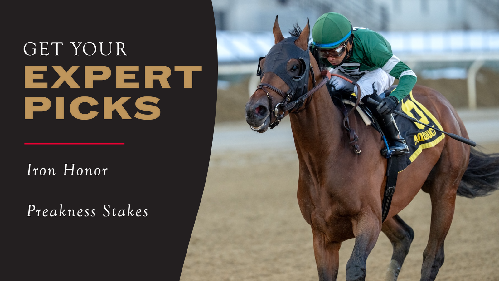 Expert Picks