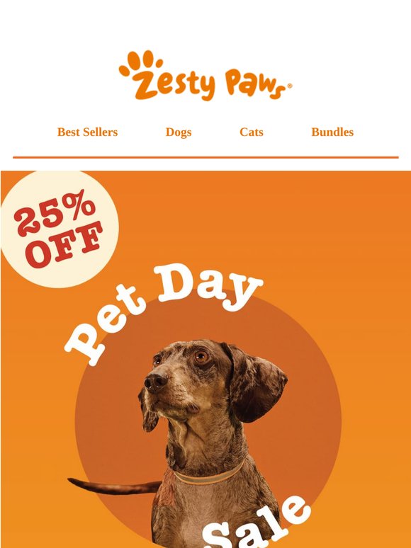 ⏰ Ends tonight! Enjoy 25% OFF everything 🚨