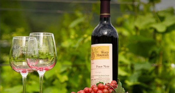 Up to 23% Off on Wine Tasting at Sharp Mountain Vineyards