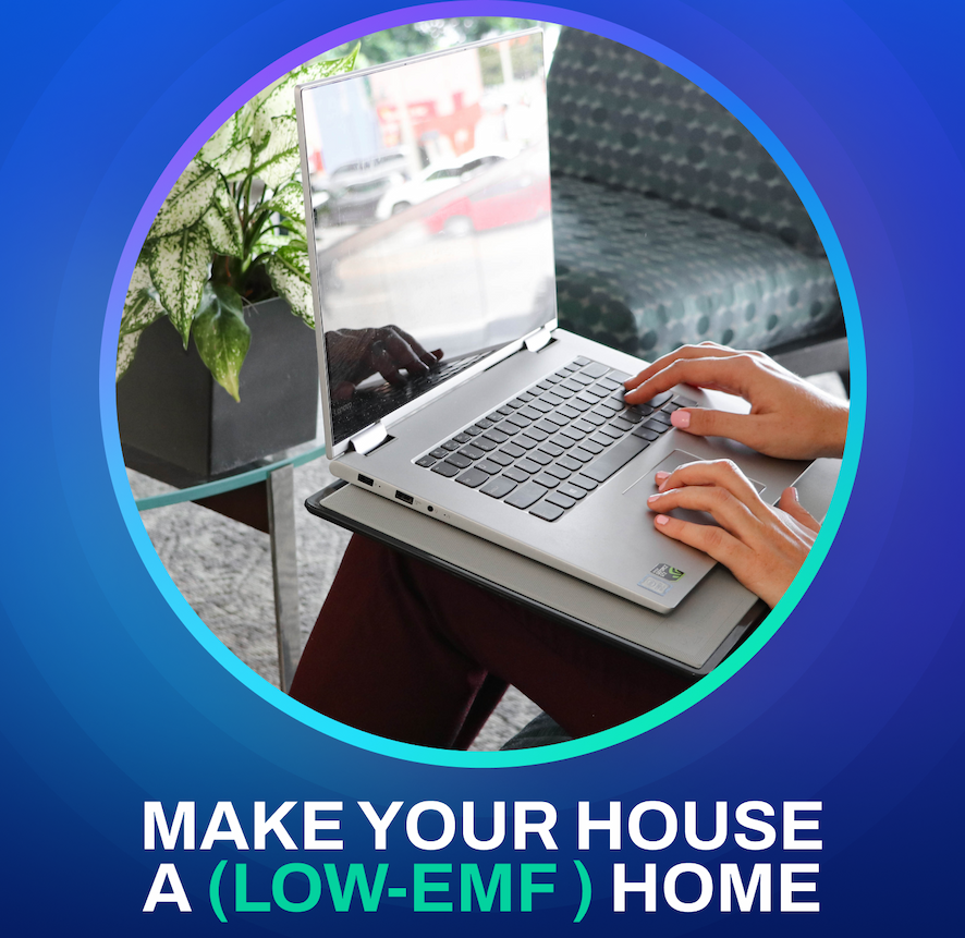 Make Your House A (Low-EMF) Home