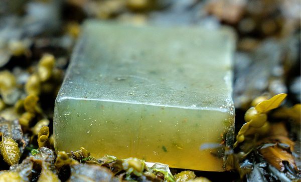 Hebridean Seaweed