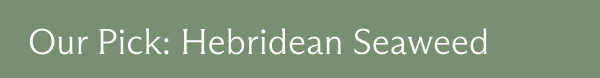 Hebridean Seaweed