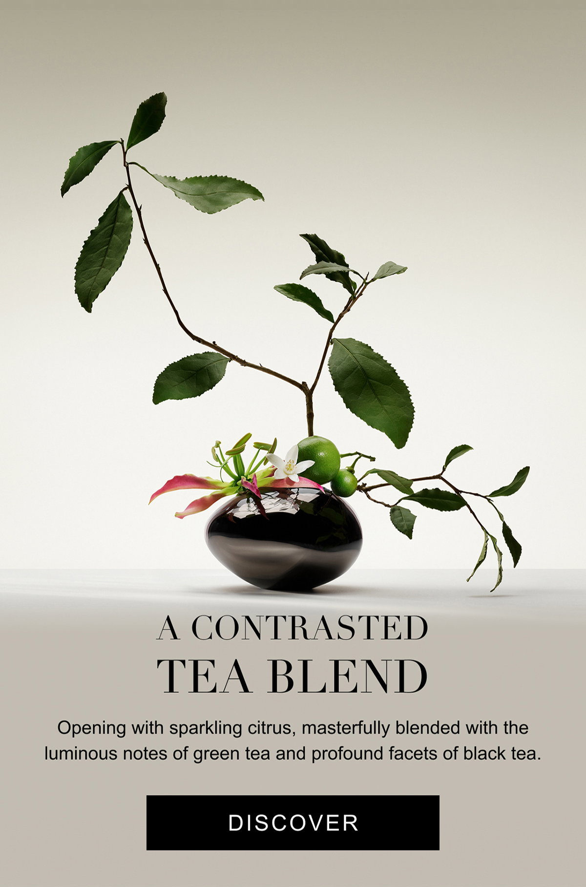 A CONTRASTED TEA BLEND