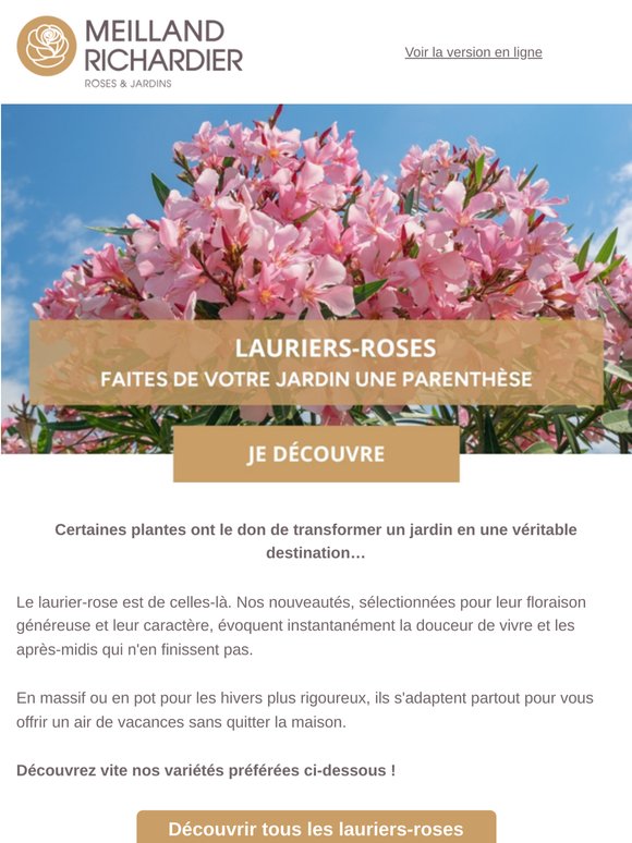 Lauriers-roses : la touche méditerranéenne qu'il vous faut cet été !