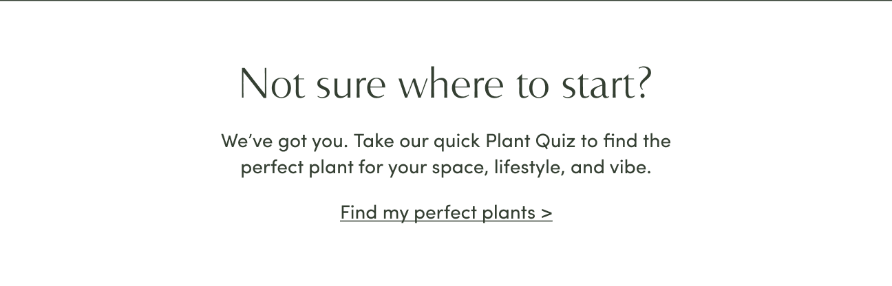 Take our plant quiz! 