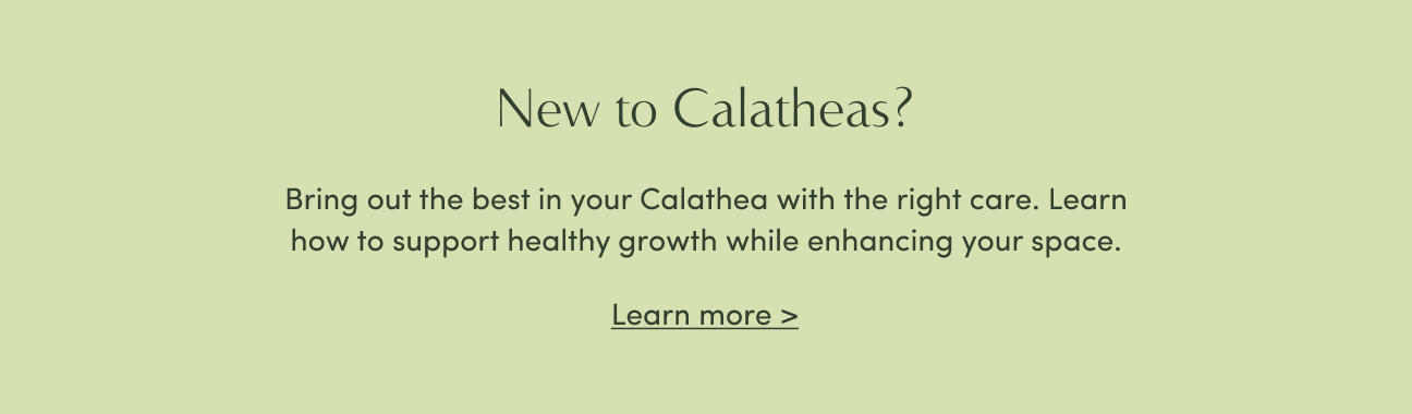 learn more