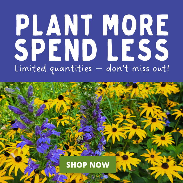 Plant More, Spend Less