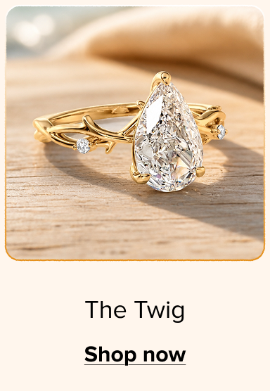 Shop The Twig