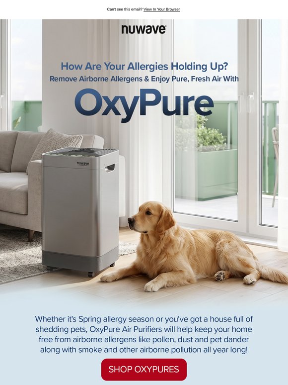 How Are Your Allergies?