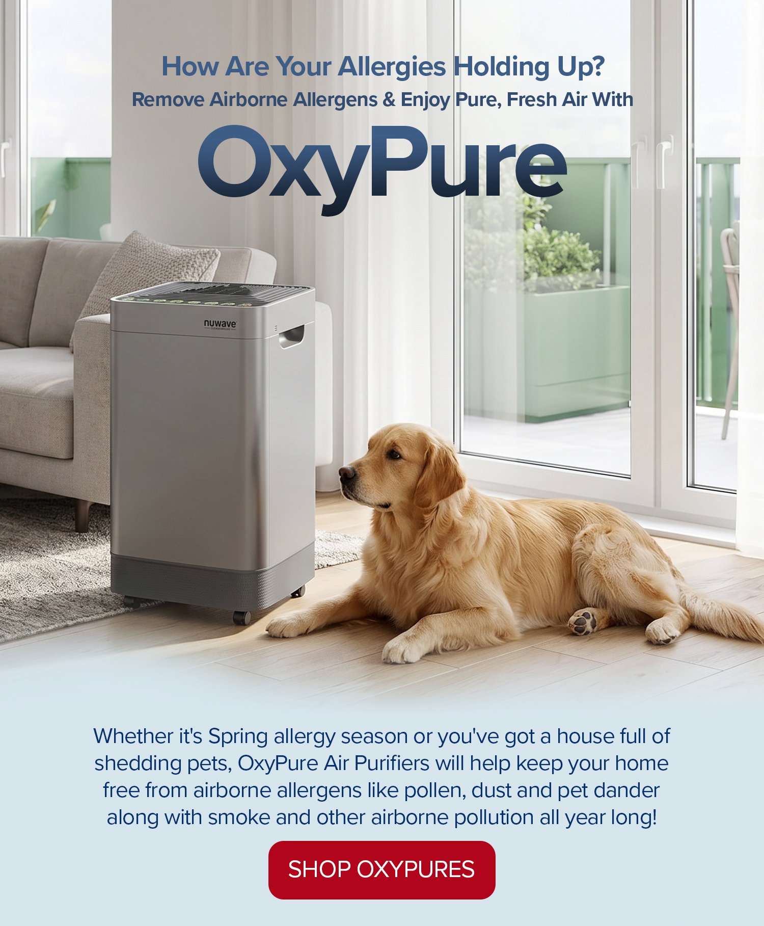 OxyPure Air Purifier