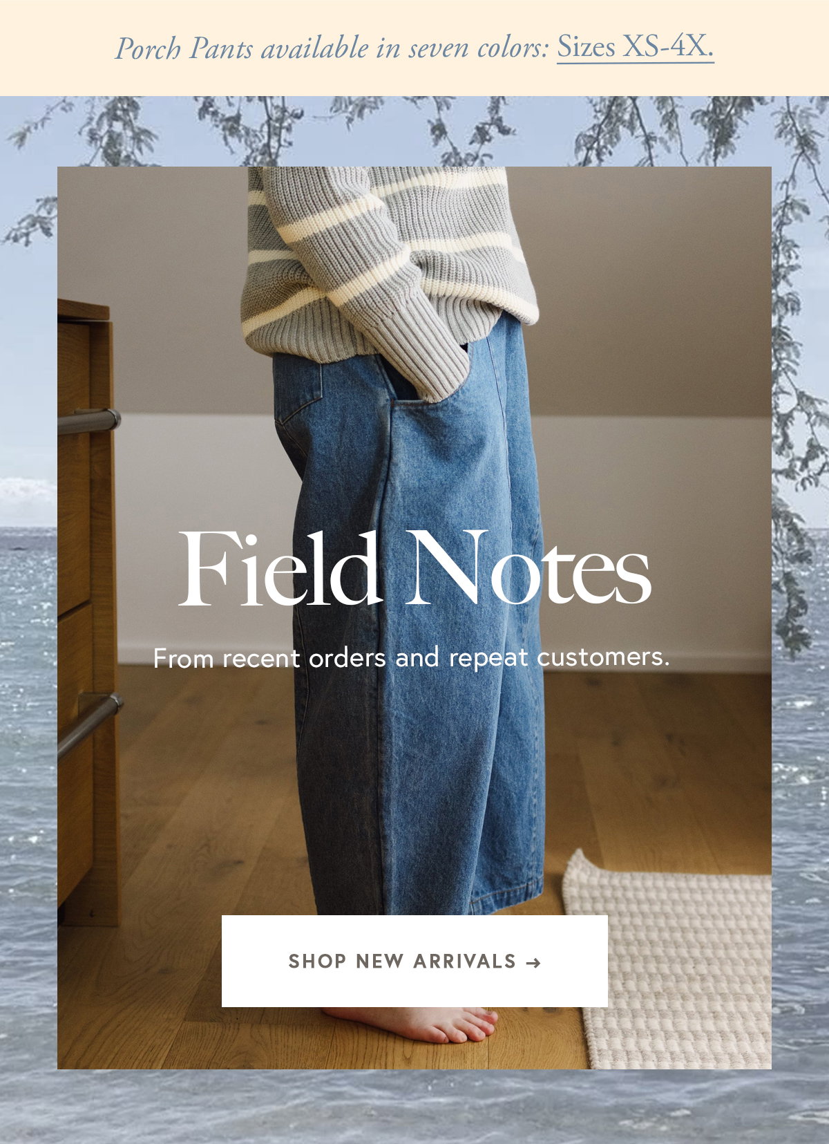 Field Notes 