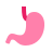 Digestion