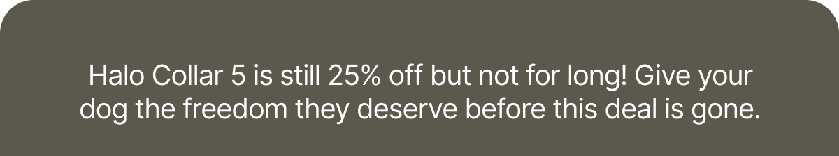 Halo Collar 5 is still 25% off but not for long! Give your dog the freedom they deserve before this deal is gone.