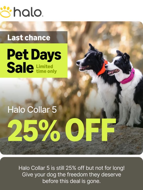 Last chance for 25% off!