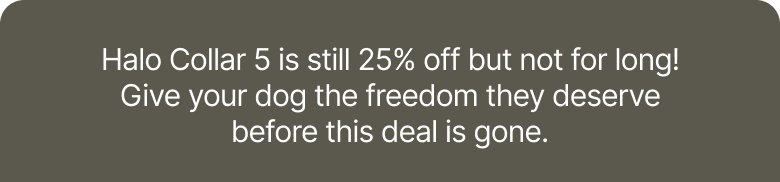 Halo Collar 5 is still 25% off but not for long! Give your dog the freedom they deserve before this deal is gone.