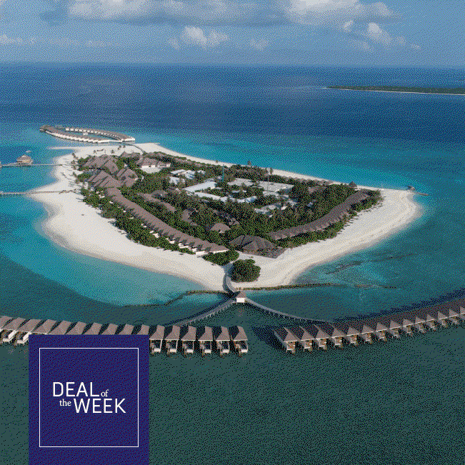 Deal of the Week