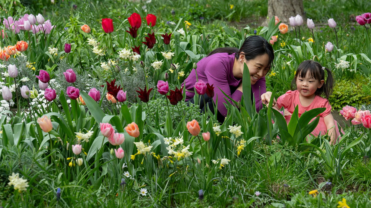 Garden Festival: Wild Imaginations