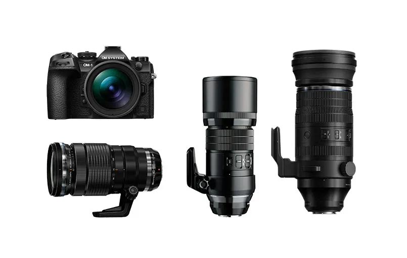 Bird Watcher Kit