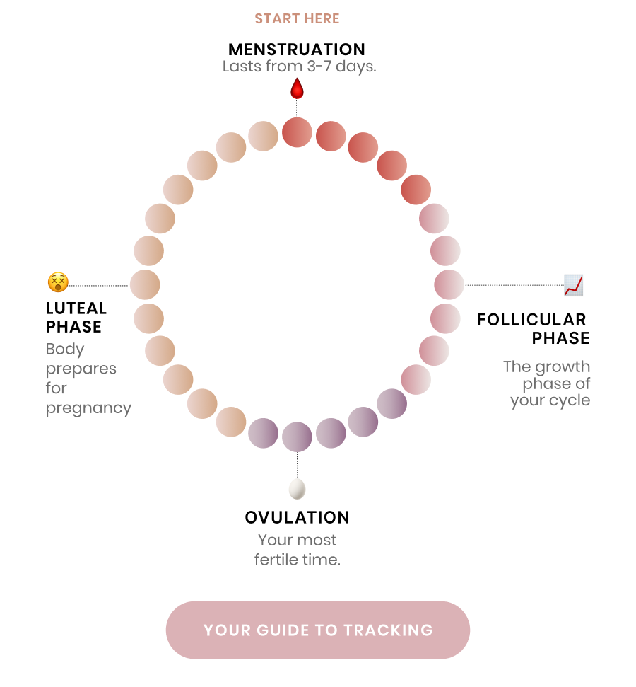 TTC or not, there are benefits to tracking ovulation