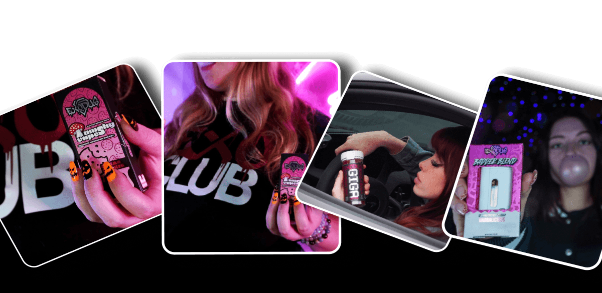 Explore All | ExoClub