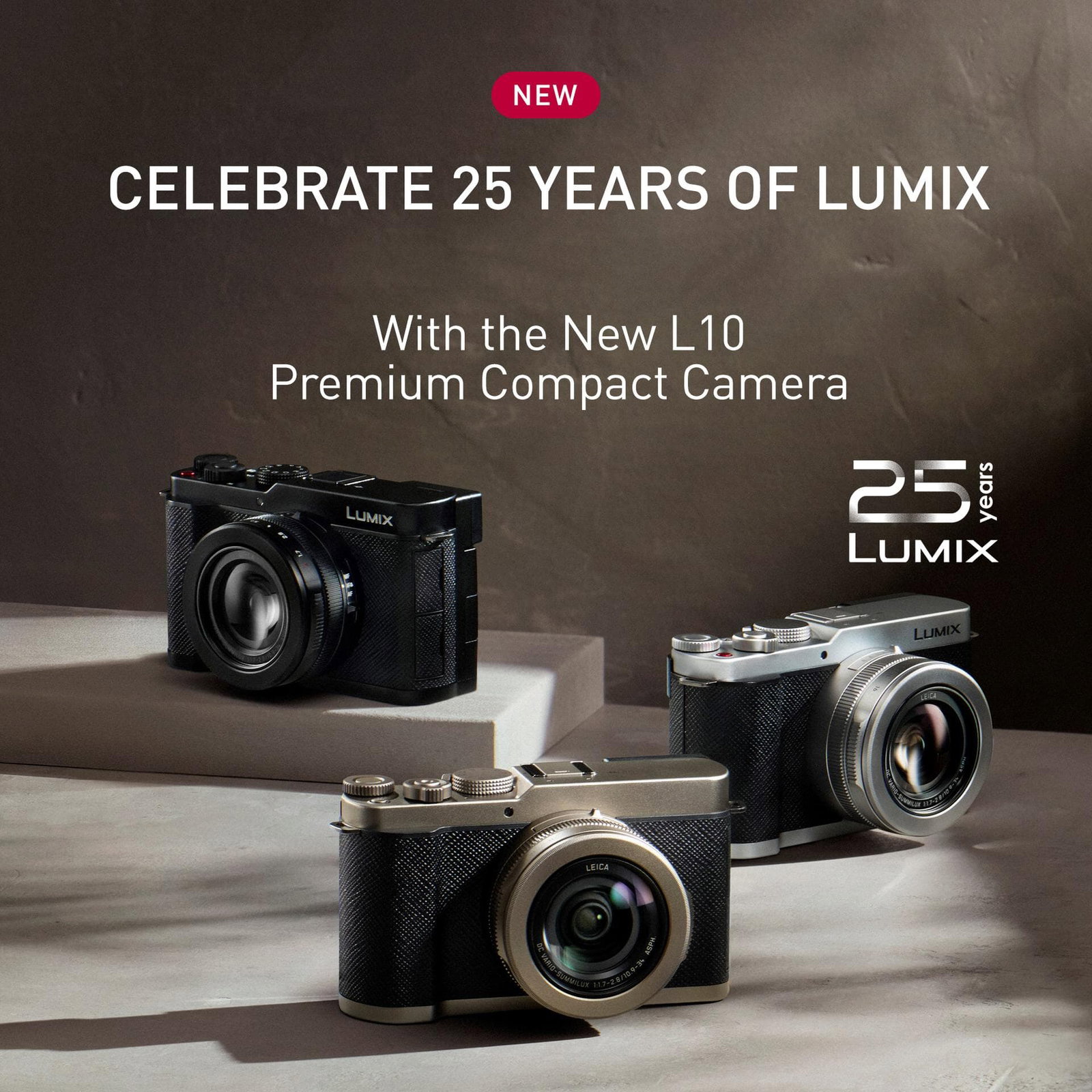 Lumix L10