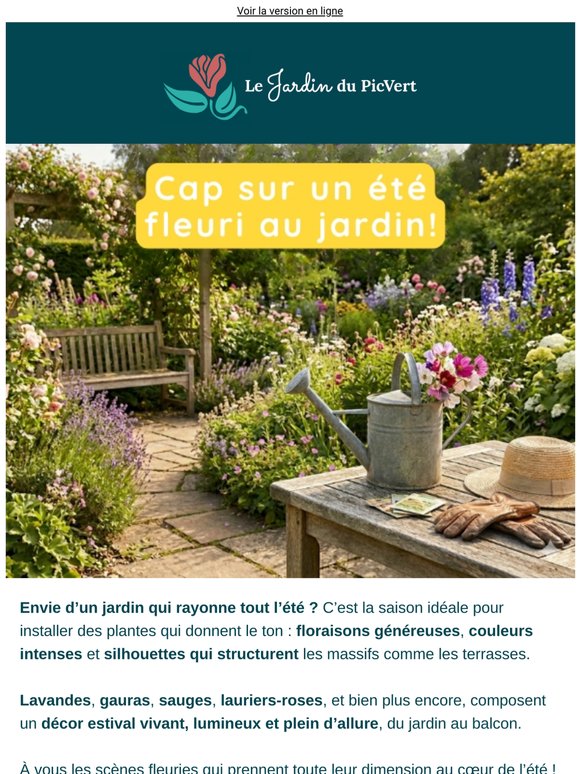 Jardin d’été : misez sur les bonnes plantes ! ☀️
