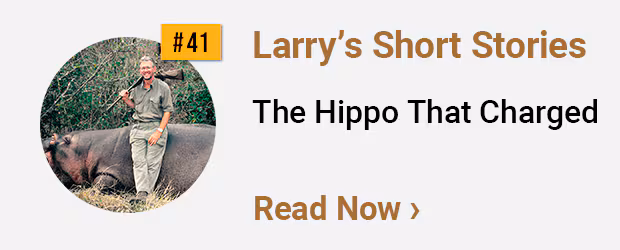 Larrys Short Stories #41