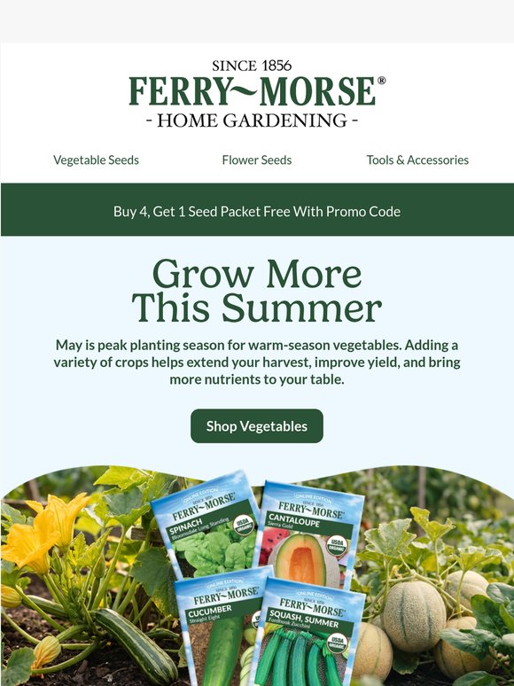 Build Your Summer Garden Now ☀️