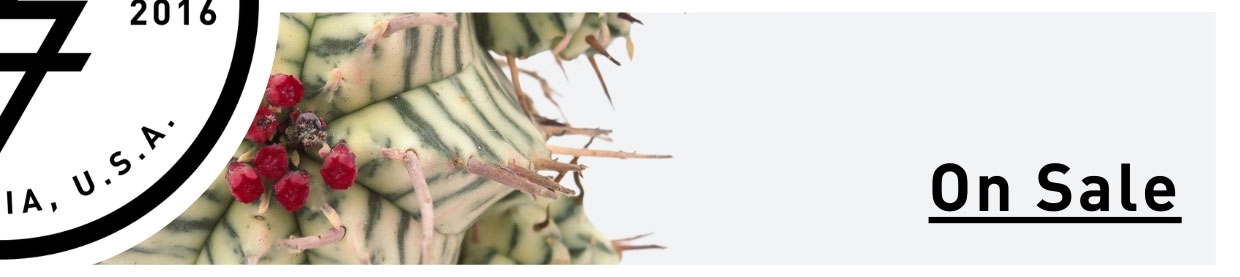 On Sale Plants