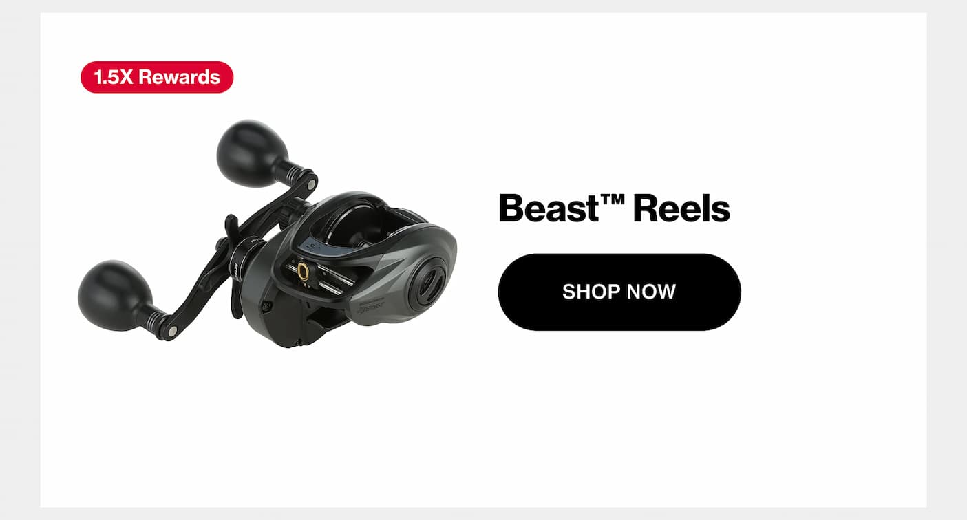 Beast Reels