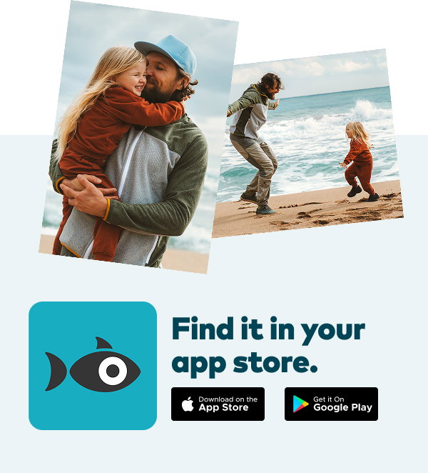 Find it in your app store. Download on the app store. Get it on Google Play.