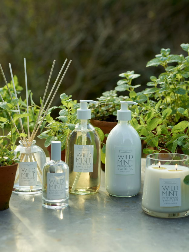 Wild Mint Collection