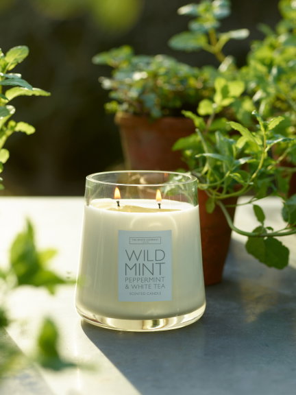 Wild Mint Candle