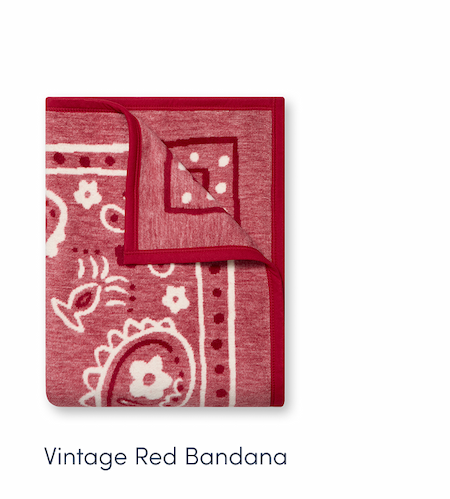 Shop Vintage Red Bandana
