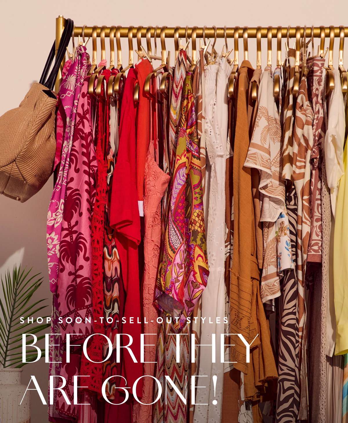 Your Exclusive Destination: Summer Preview