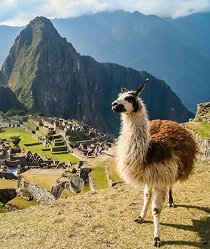 Peru
