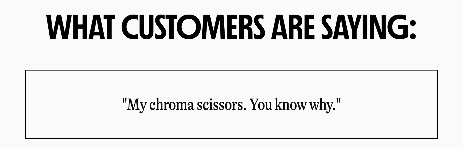 WHAT CUSTOMERS ARE SAYING: "My chroma scissors. You know why."