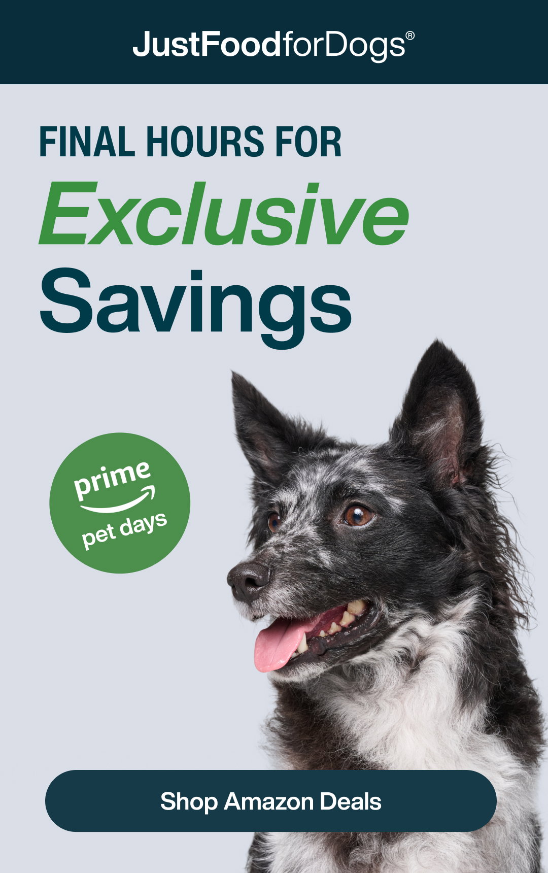 Shop Amazon Deals