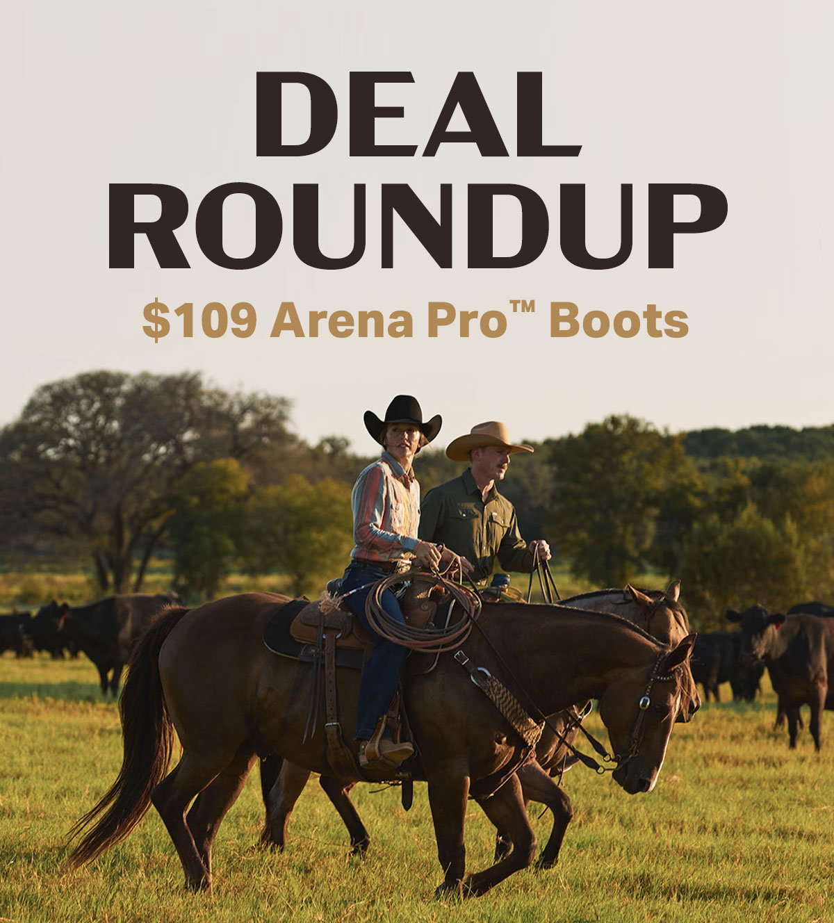 $109 Deal Roundup
