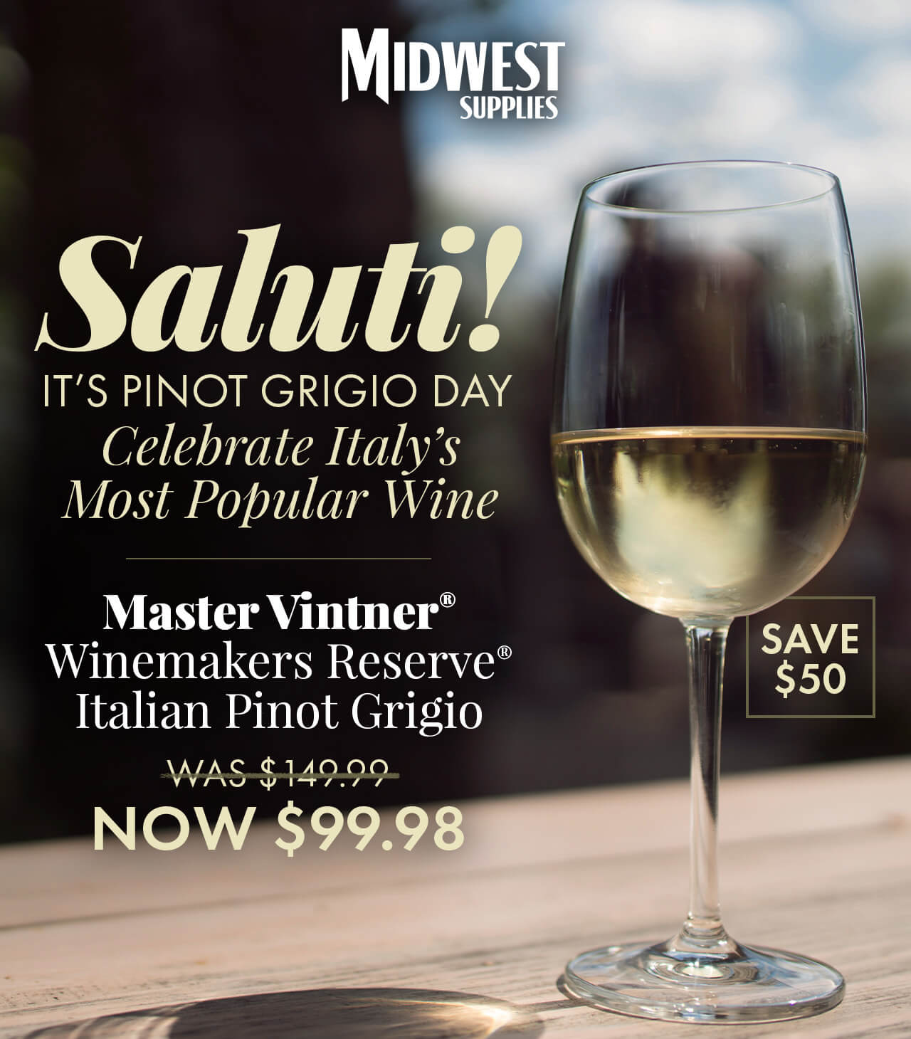 Saluti! It’s Pinot Grigio Day. Celebrate Italy’s Most Popular Wine. Master Vintner® Winemaker's Reserve® Italian Pinot Grigio Wine Kit Was $149.99. Now $99.98. No promo code required. Save $50