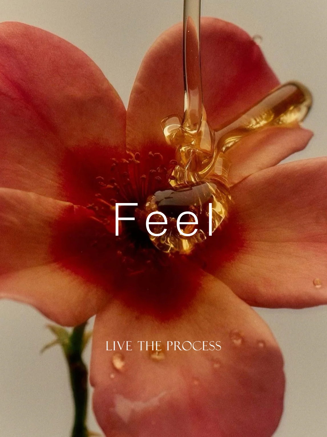 LIVE THE PROCESS