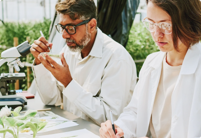 Image of two lab scientists analyzing plant samples