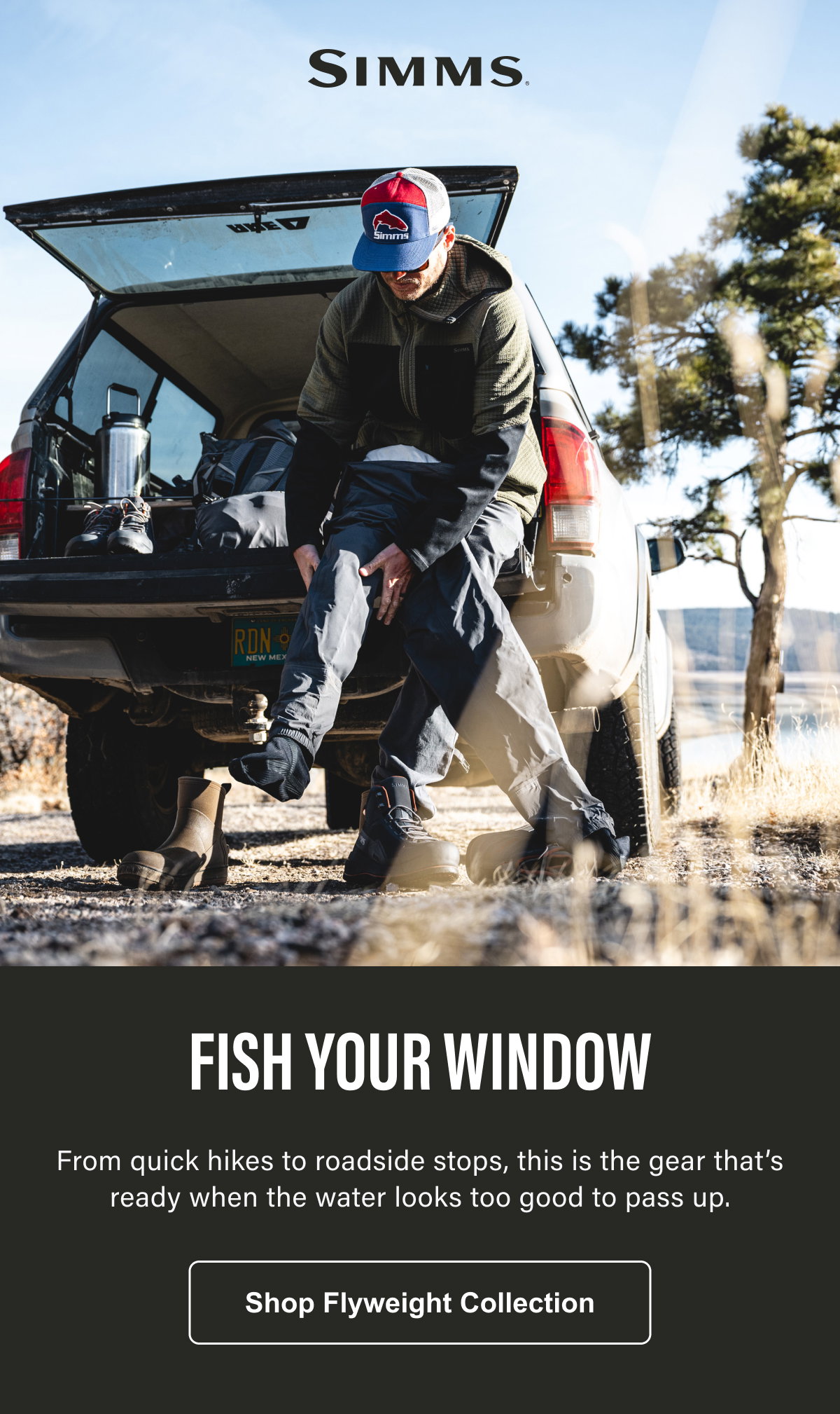 Flyweight Collection: Fish Your Window
