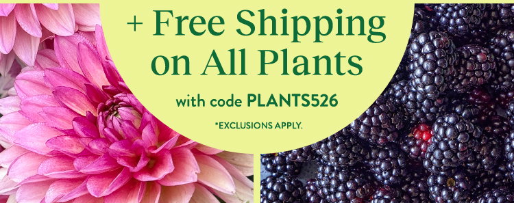 Garden Ready Plants